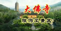 最新8x8x黄色网址入口中国浙江-新昌大佛寺旅游风景区
